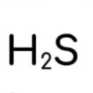 Zhandos Q