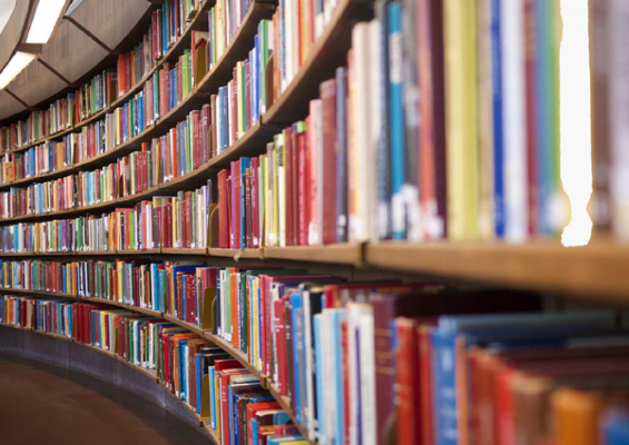 Терминология мәселелері