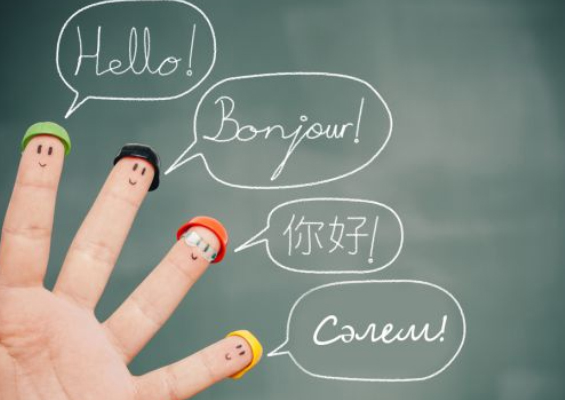 Қазақ терминдері қандай болу керек?!