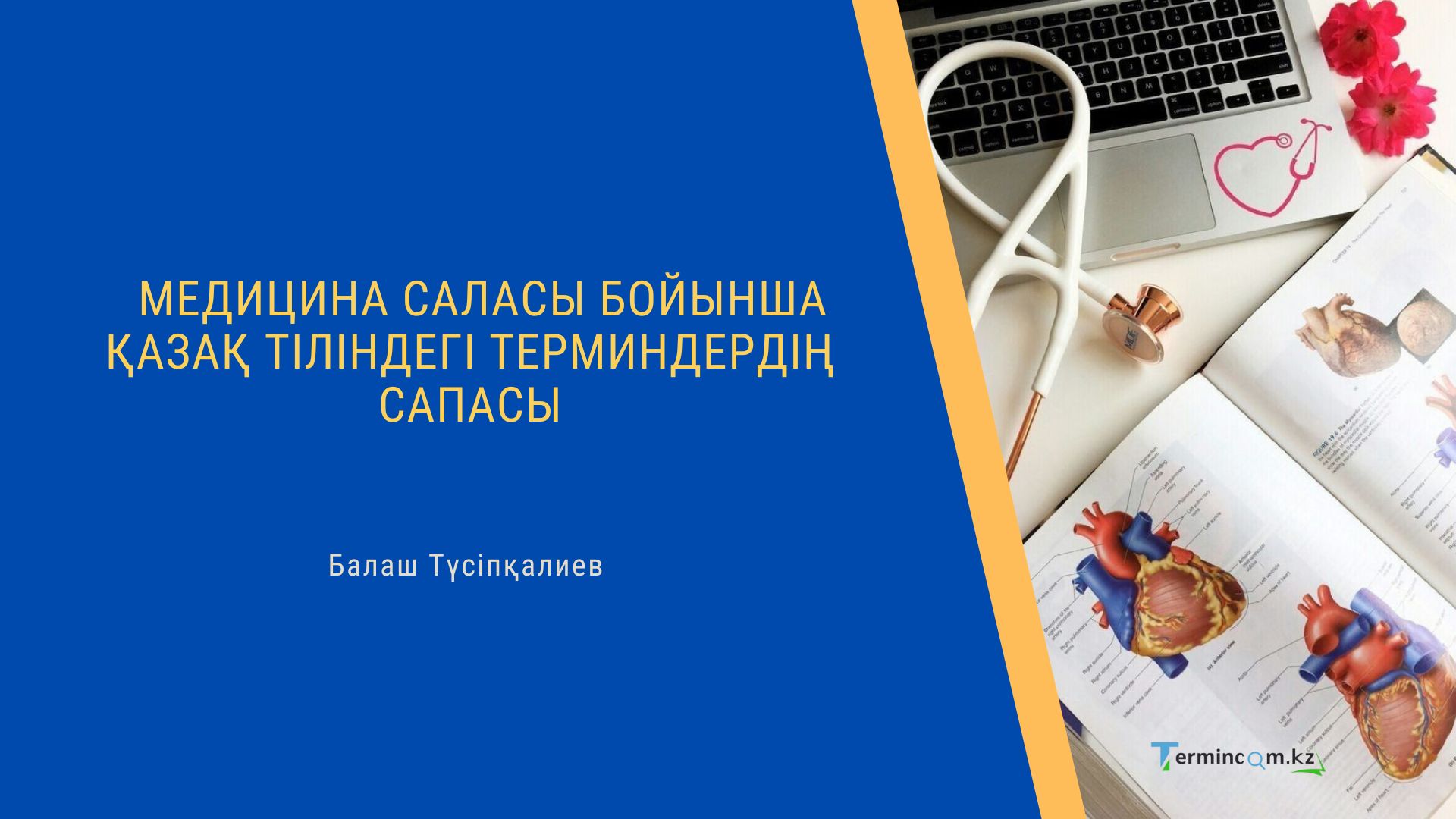 МЕДИЦИНА САЛАСЫ БОЙЫНША ҚАЗАҚ ТІЛІНДЕГІ ТЕРМИНДЕРДІҢ САПАСЫ