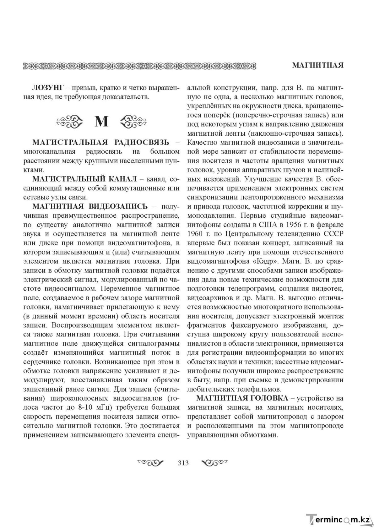 Бет 313