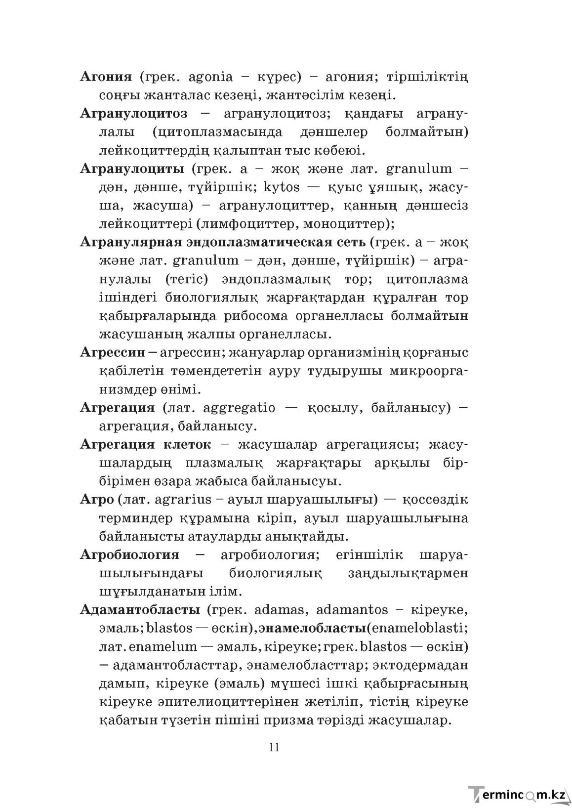 Бет 11