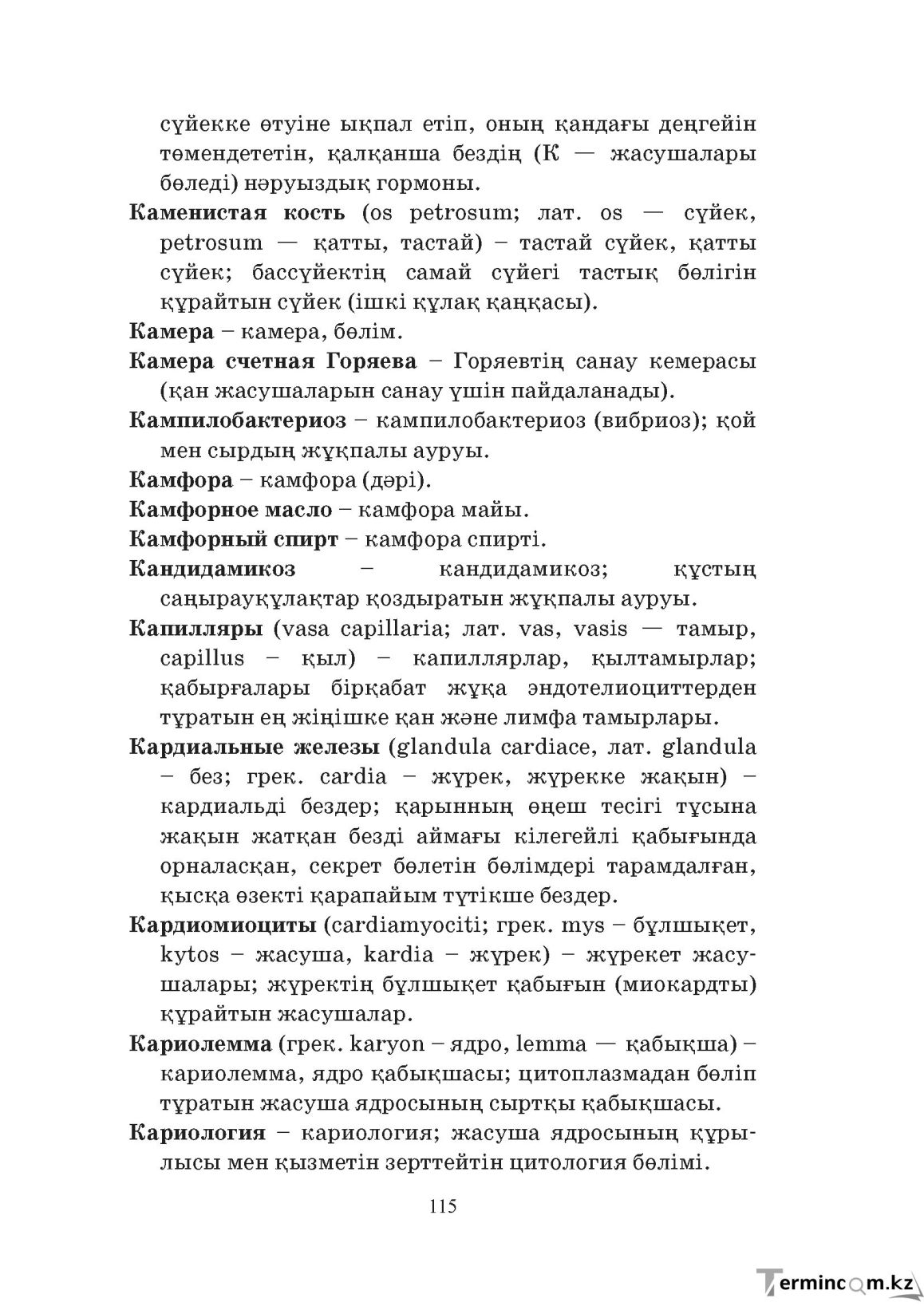 Бет 115