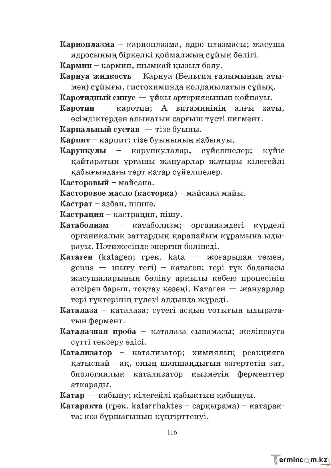 Бет 116