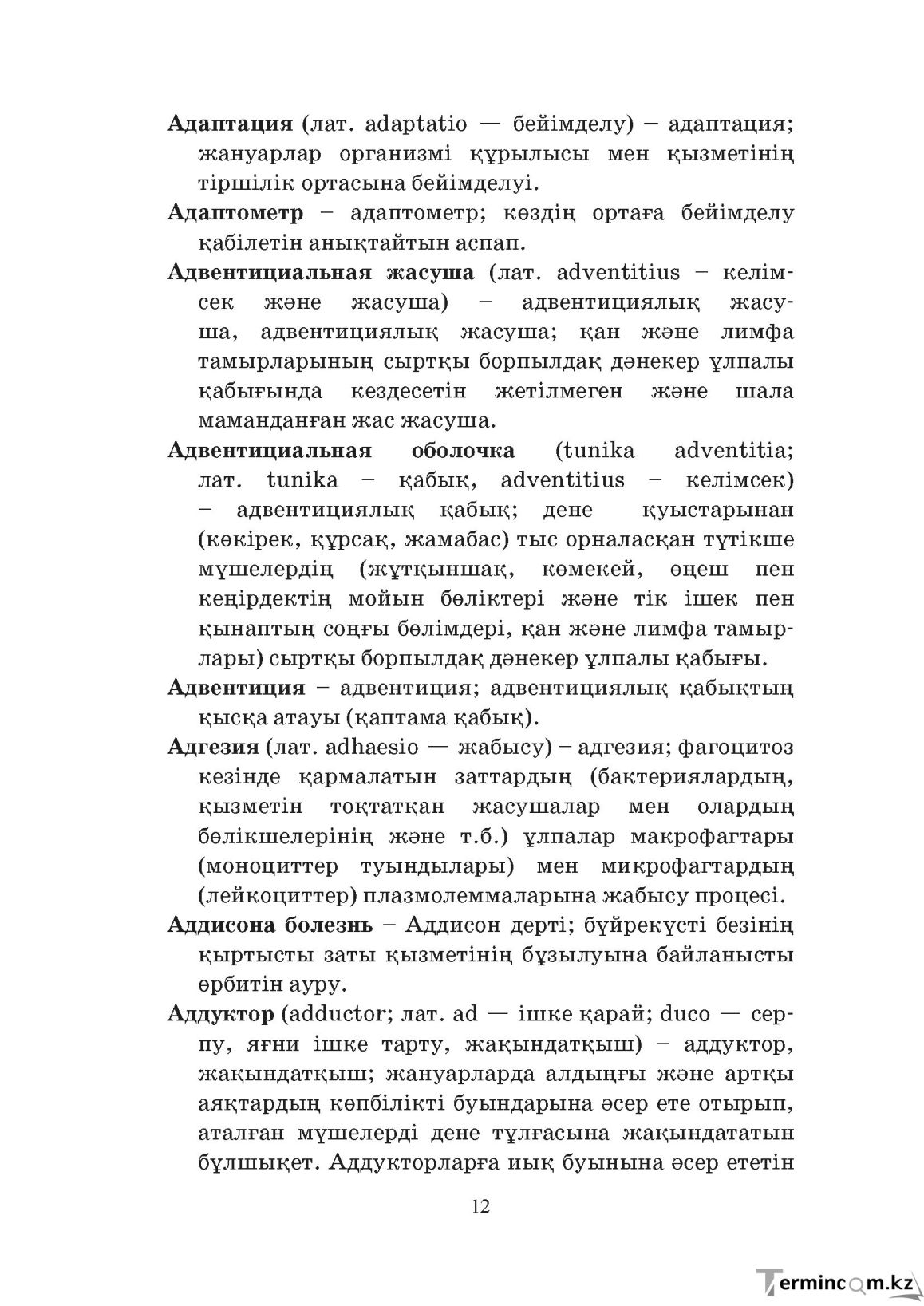 Бет 12