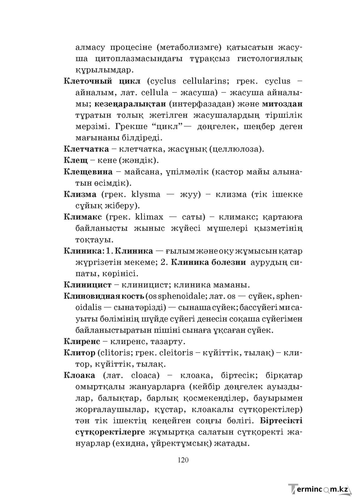Бет 120