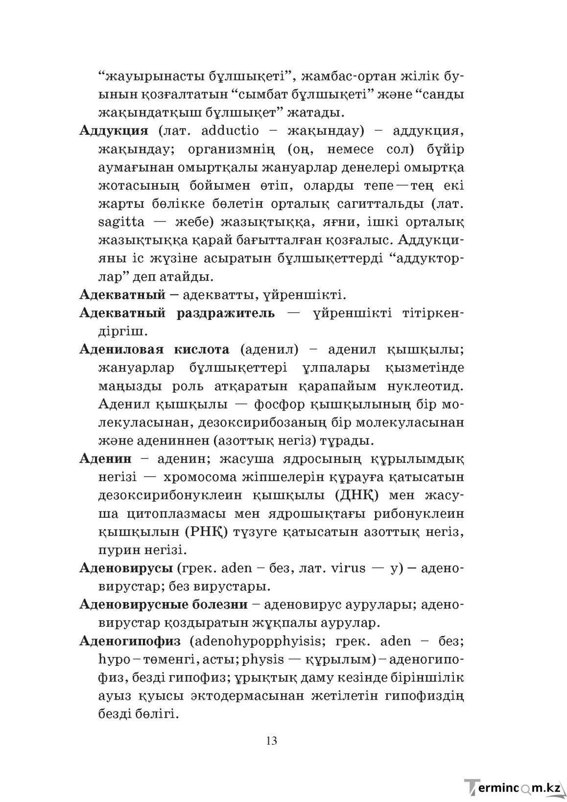 Бет 13