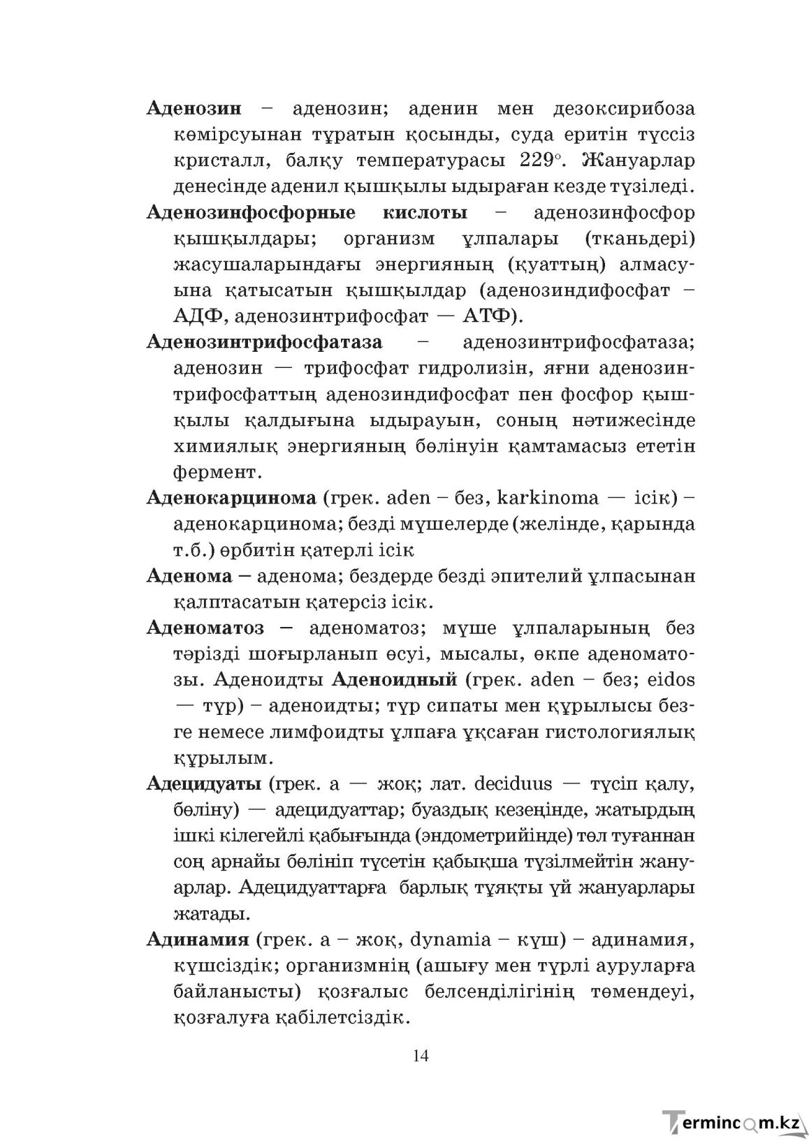 Бет 14
