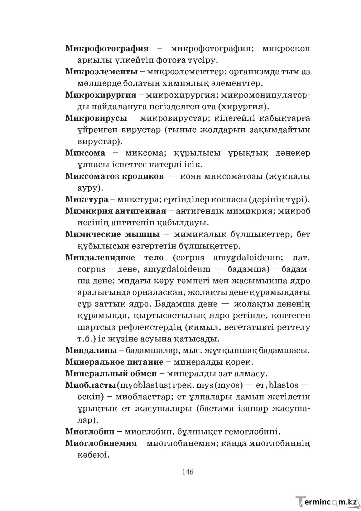 Бет 146