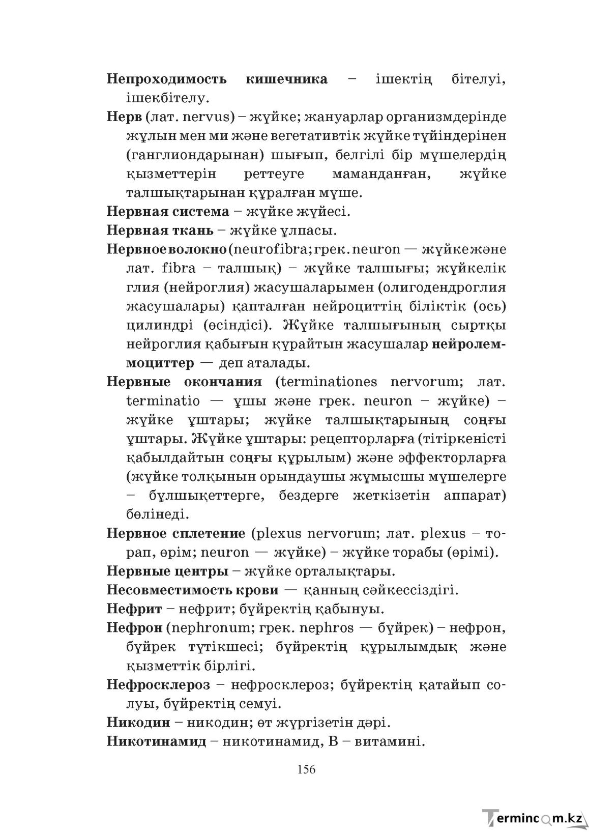 Бет 156