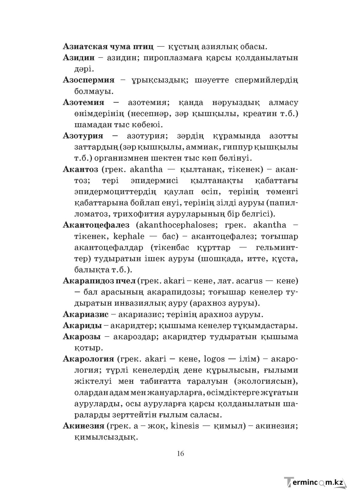 Бет 16