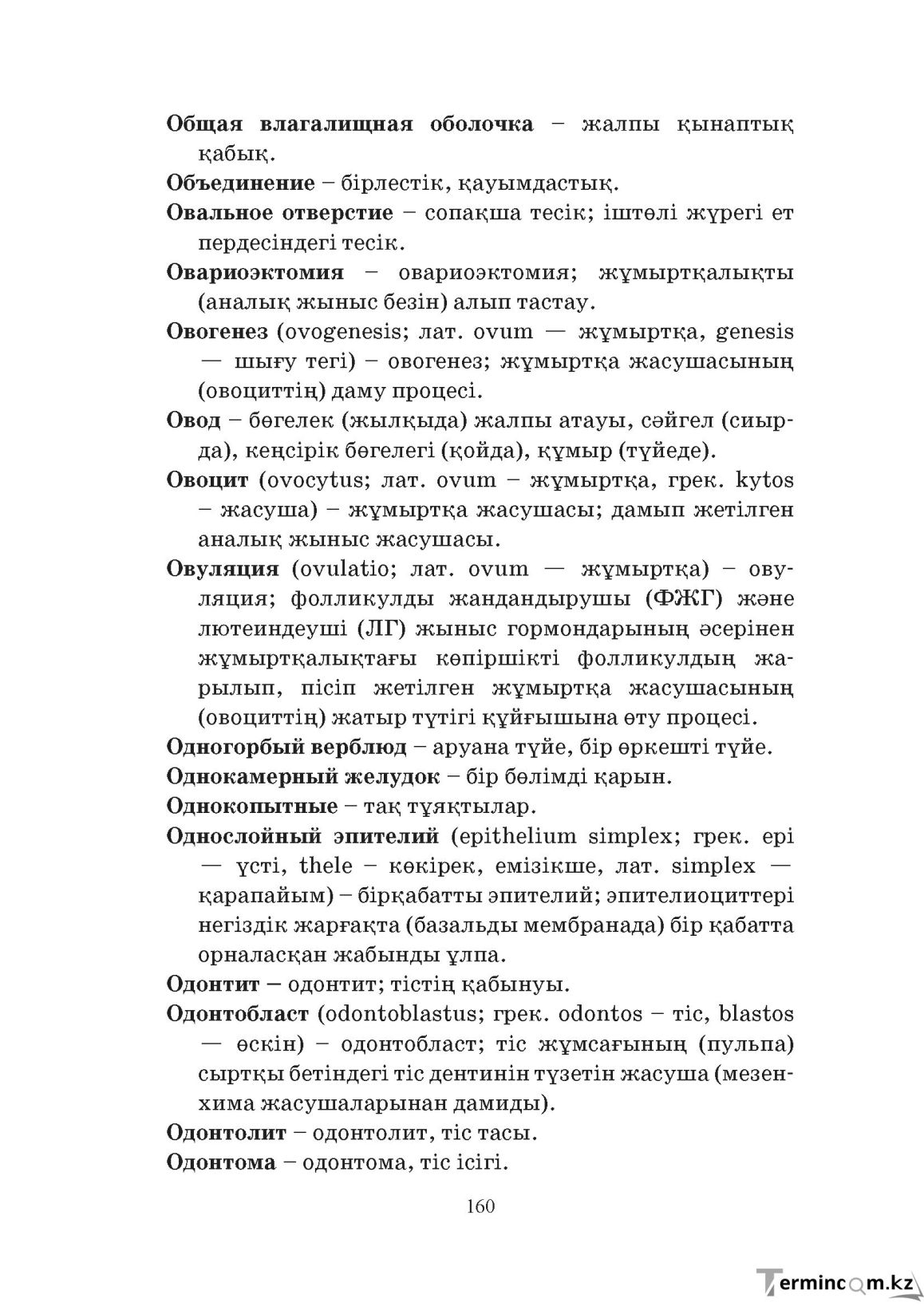 Бет 160