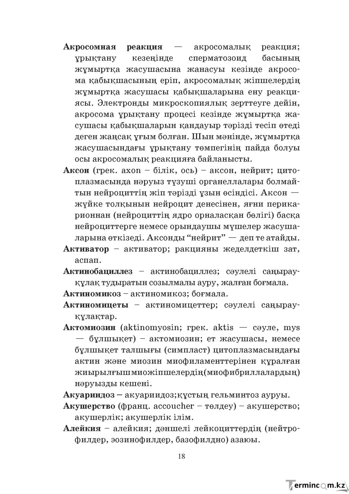 Бет 18