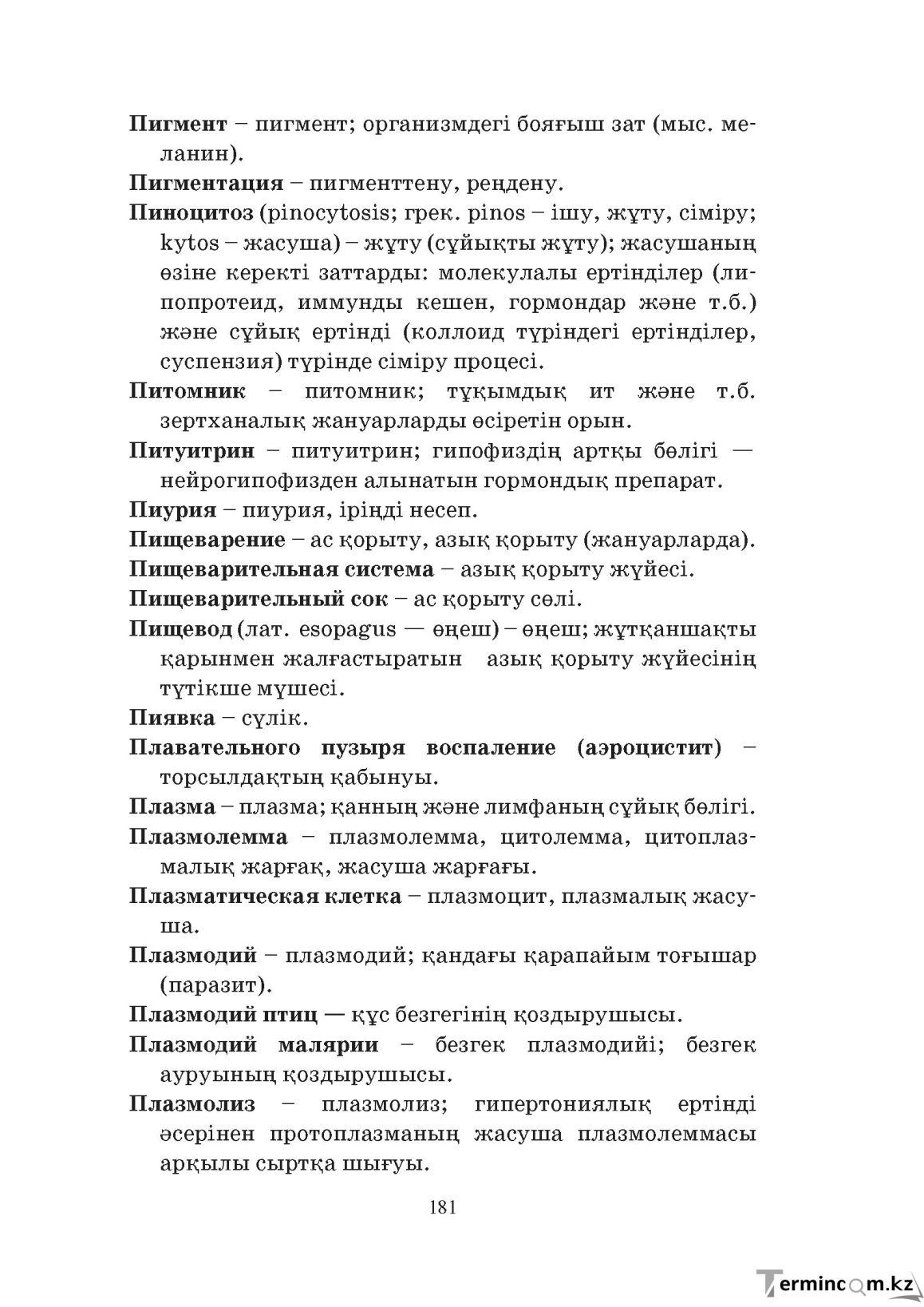 Бет 181