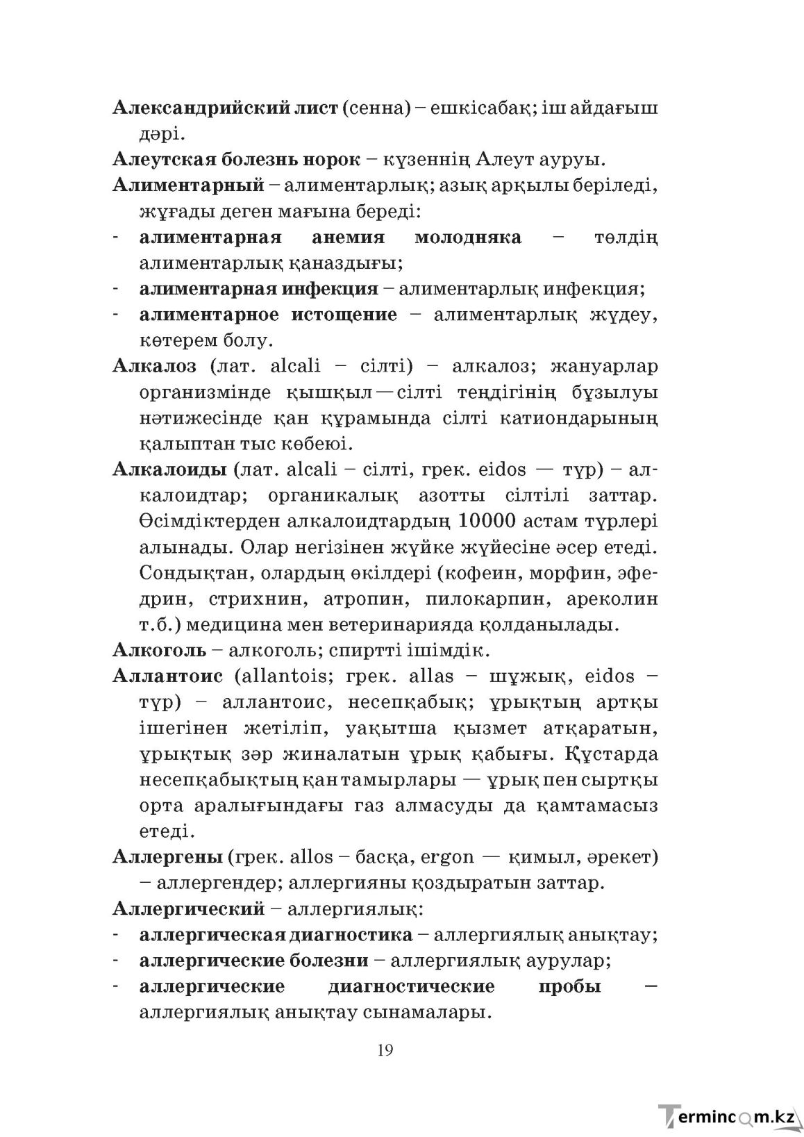 Бет 19