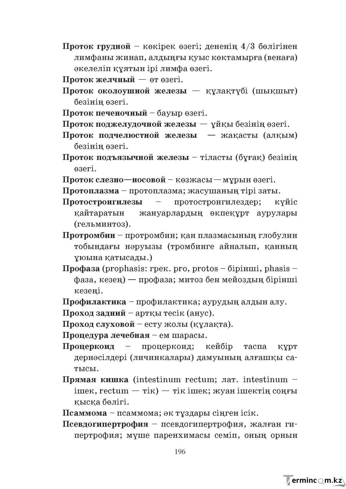 Бет 196