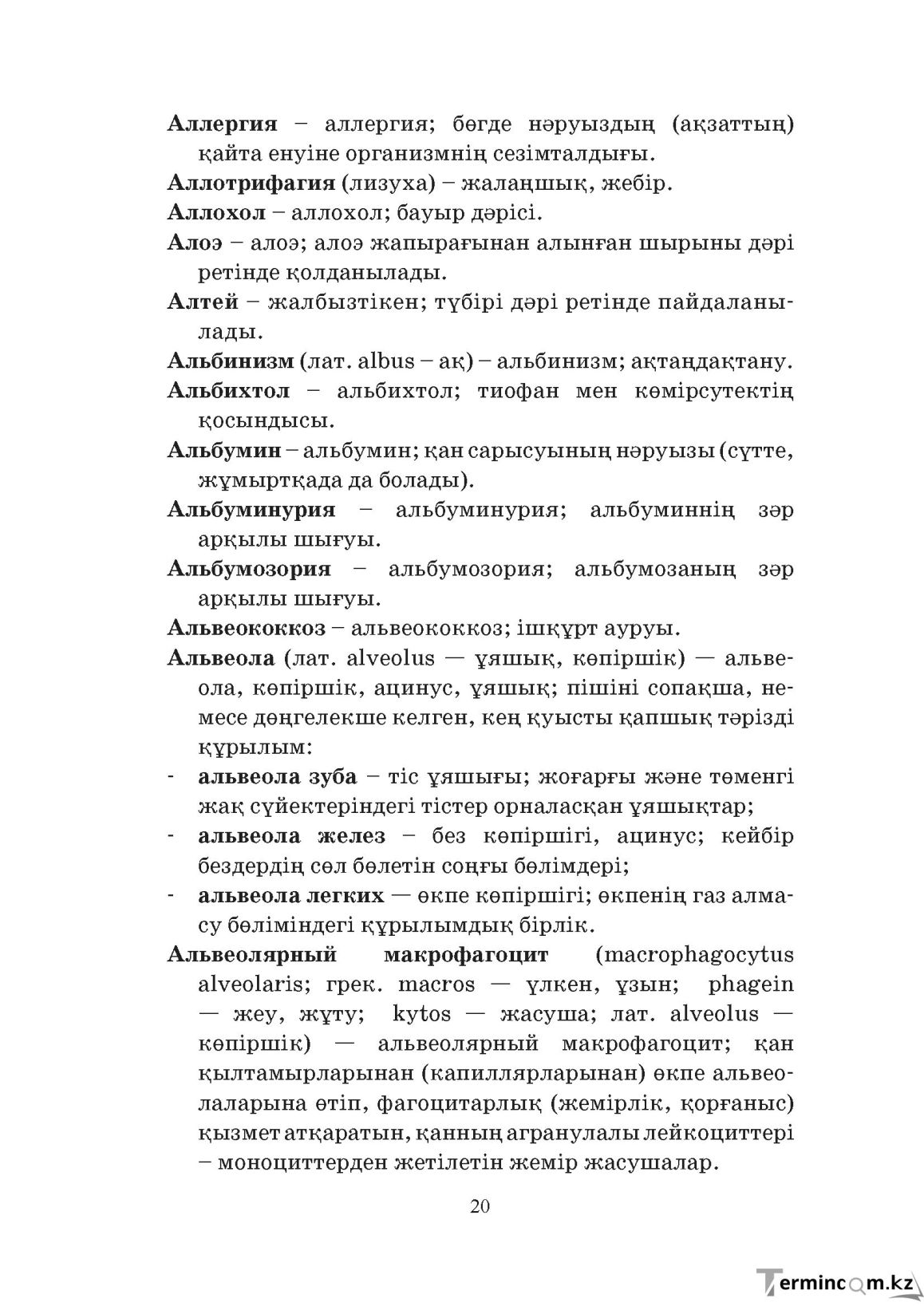 Бет 20