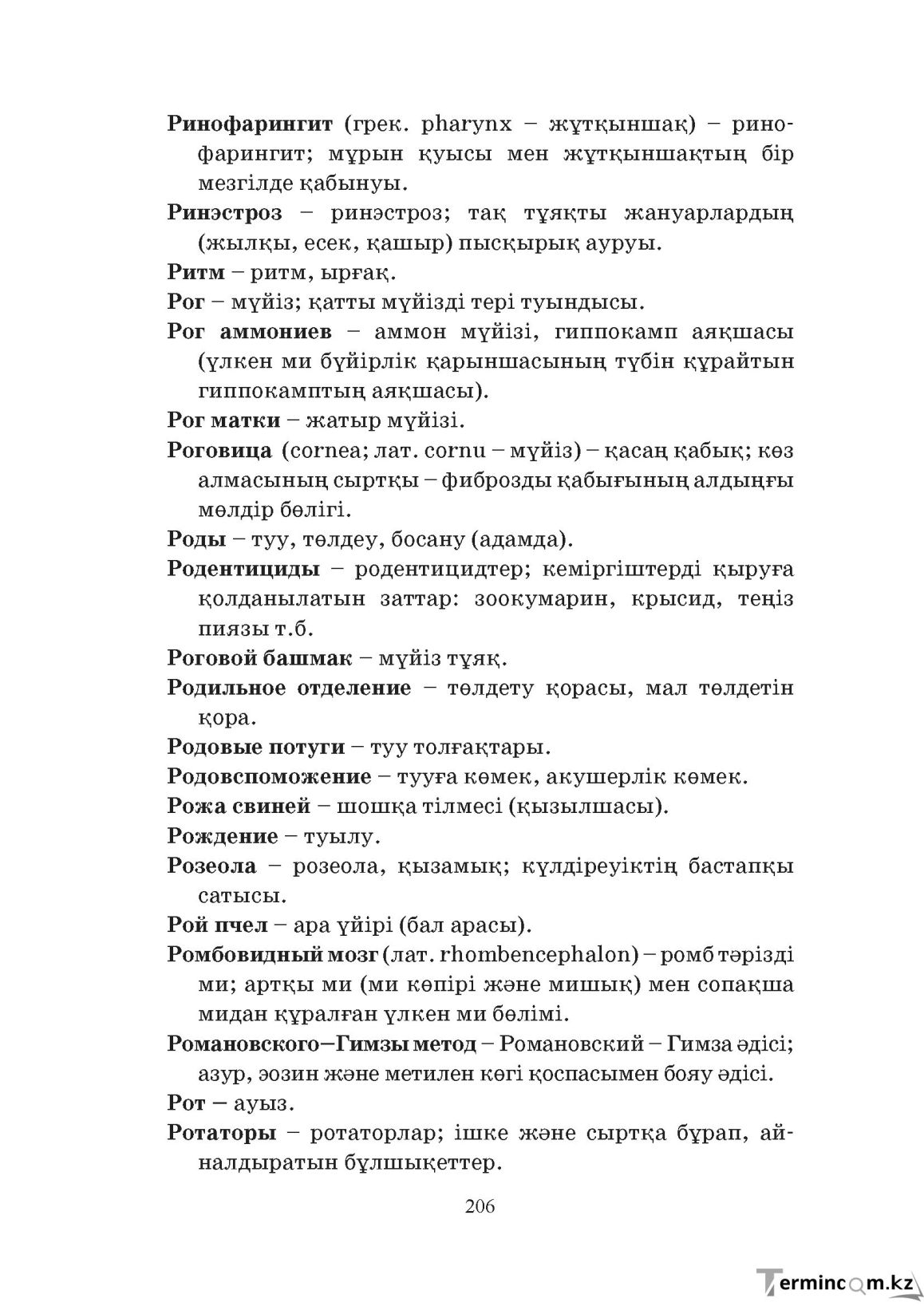 Бет 206