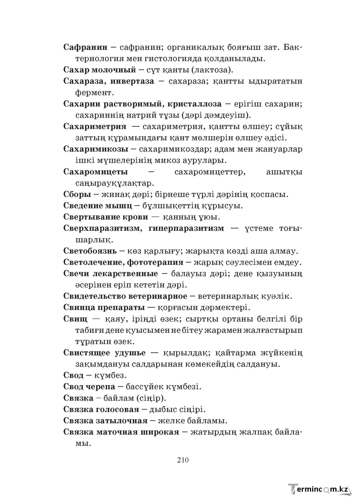 Бет 210