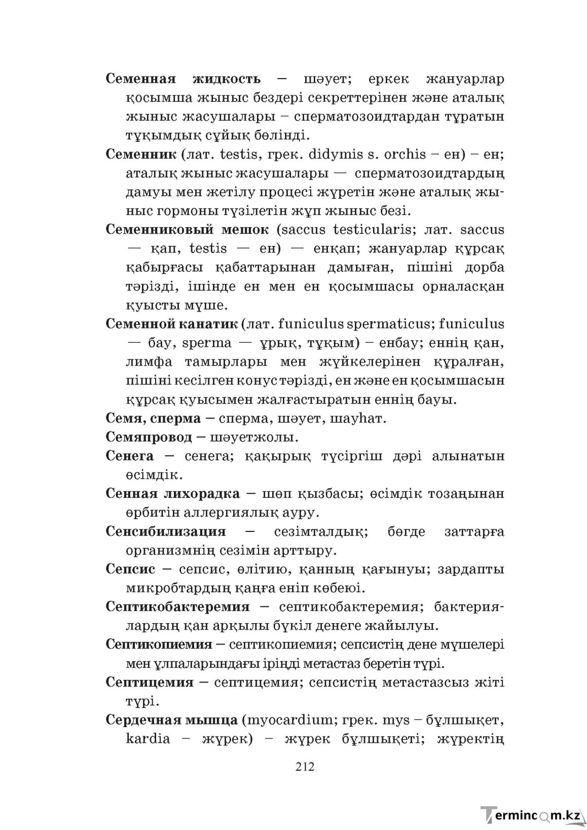 Бет 212