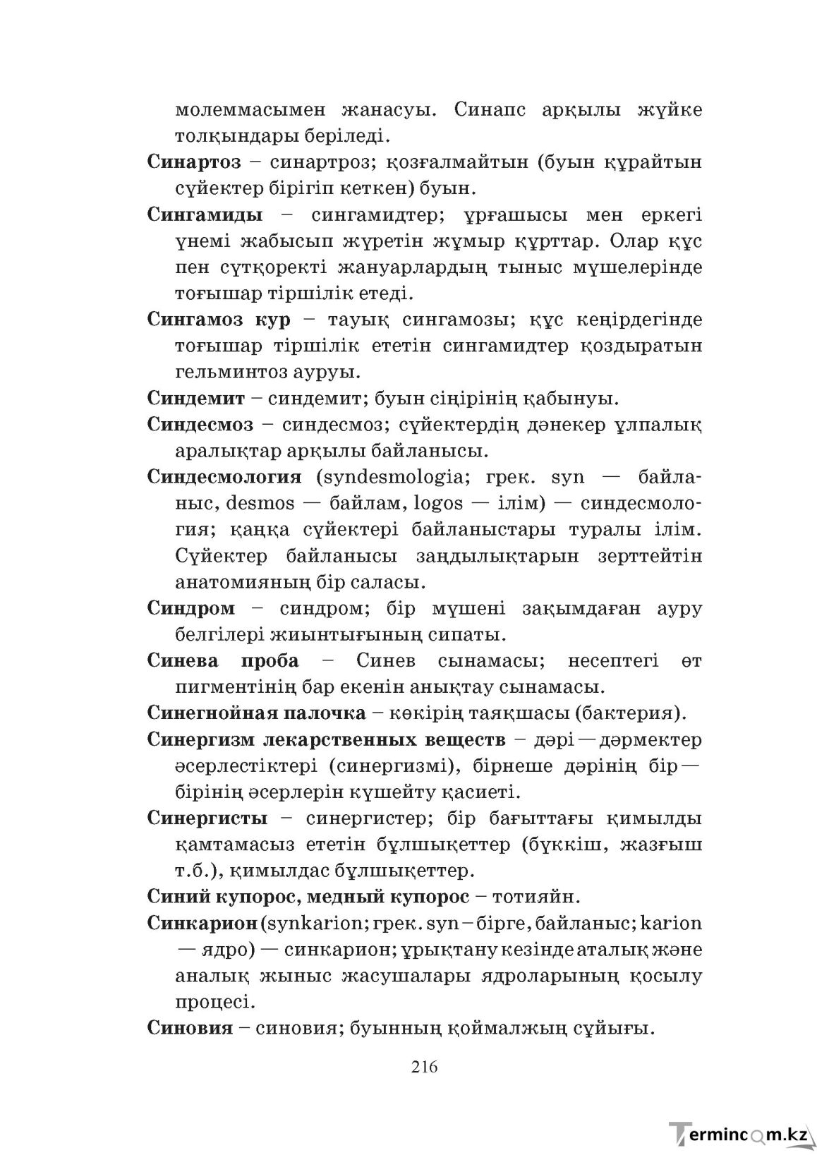Бет 216