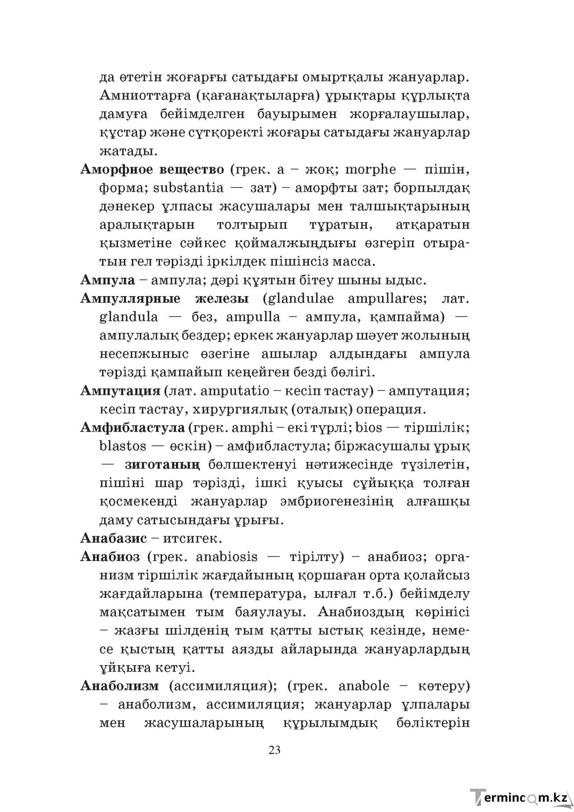 Бет 23
