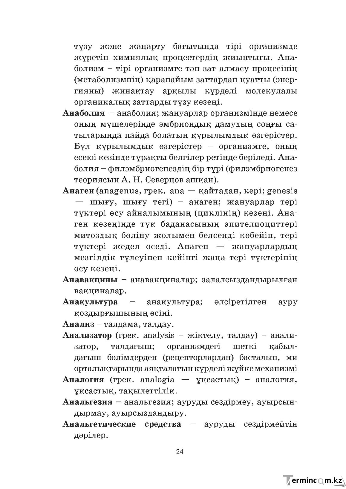 Бет 24