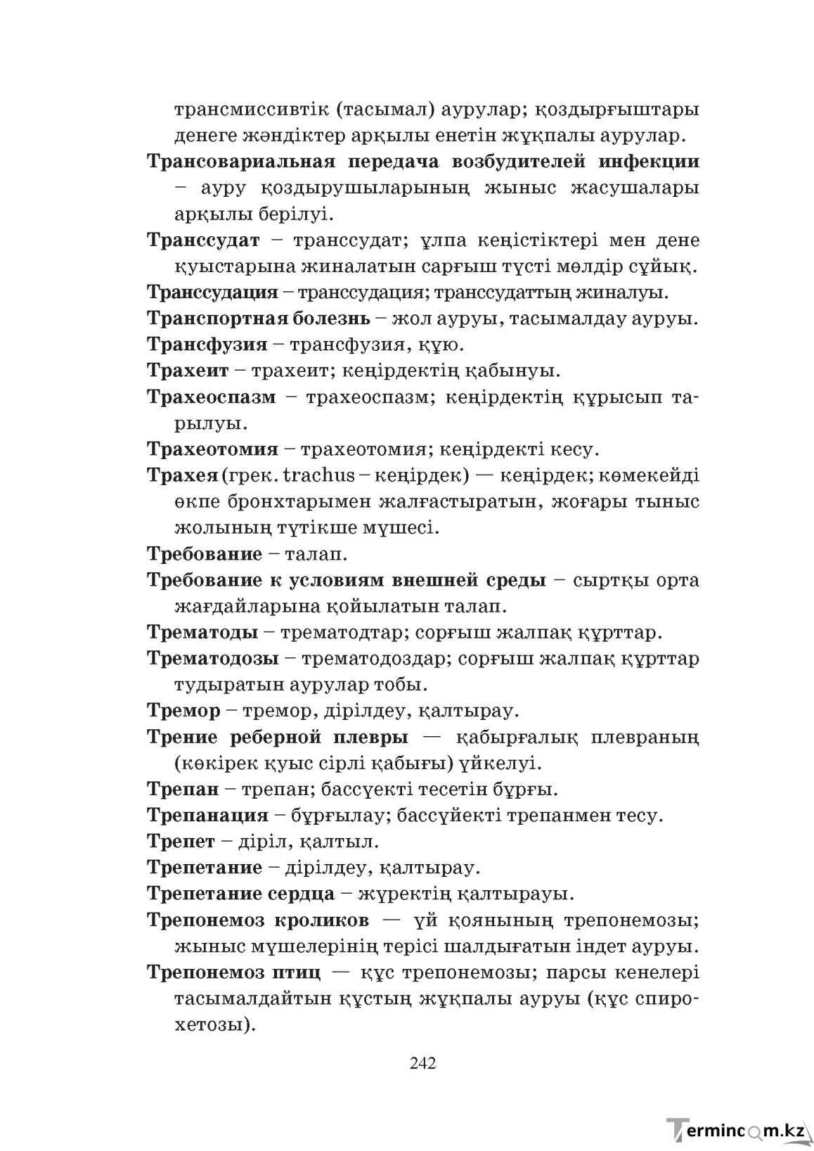 Бет 242