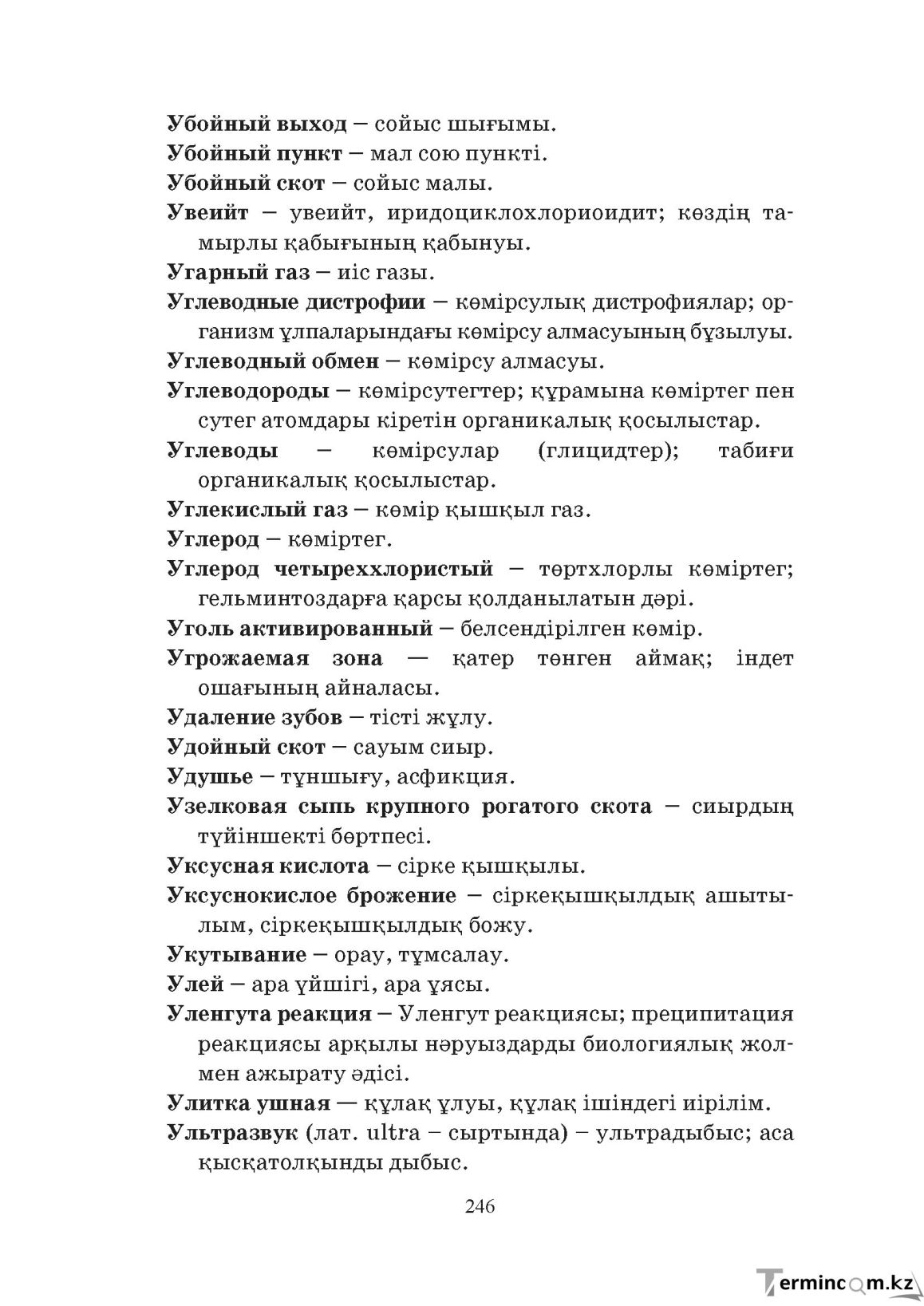 Бет 246