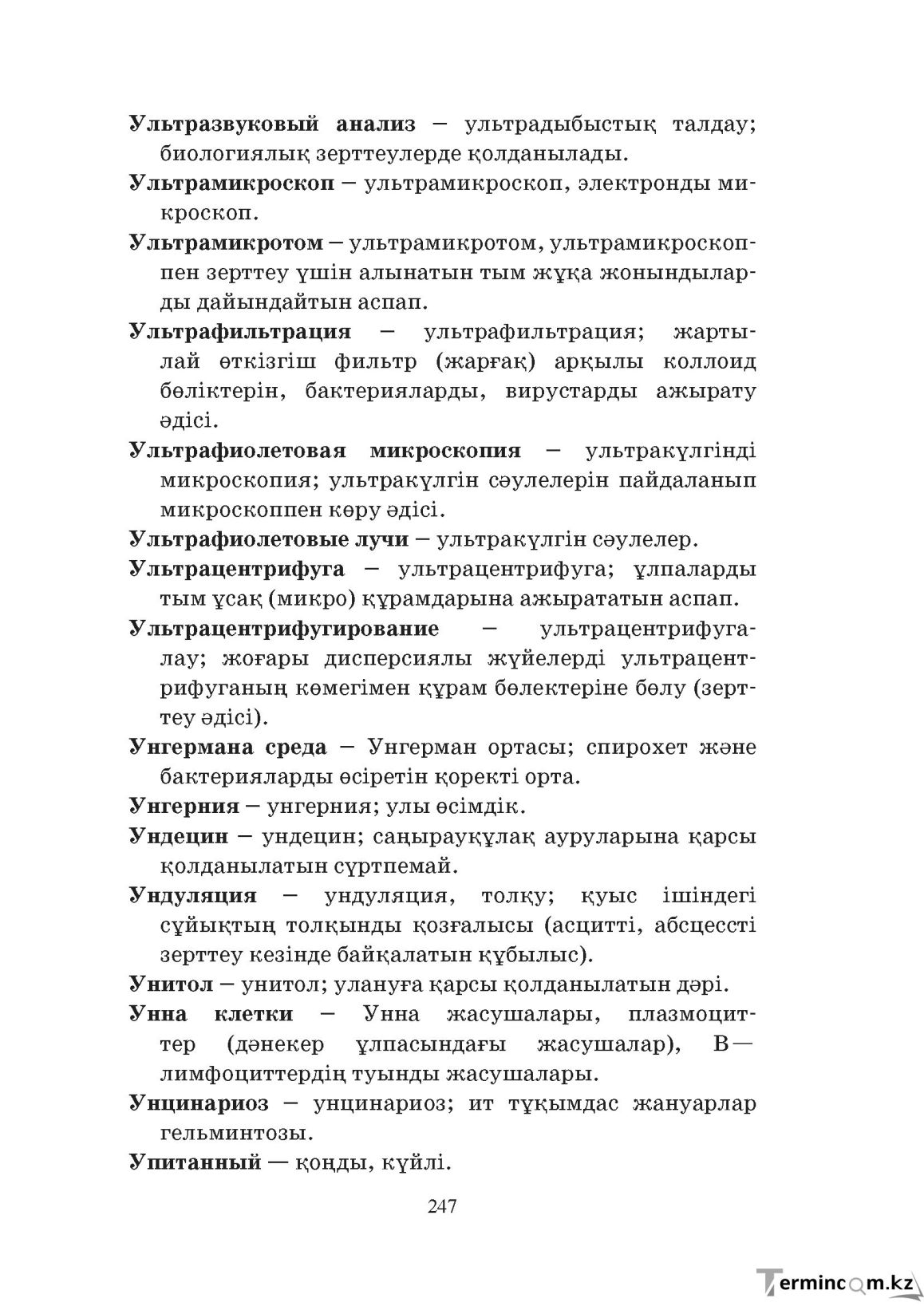 Бет 247