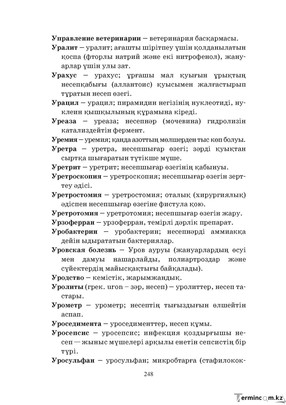 Бет 248