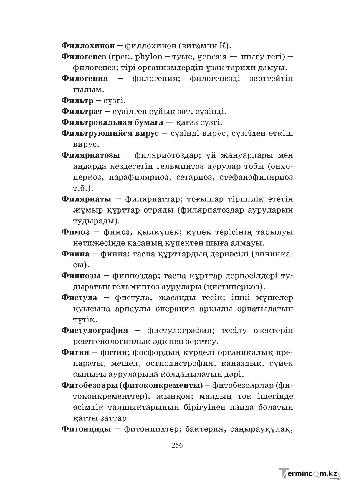 Бет 256