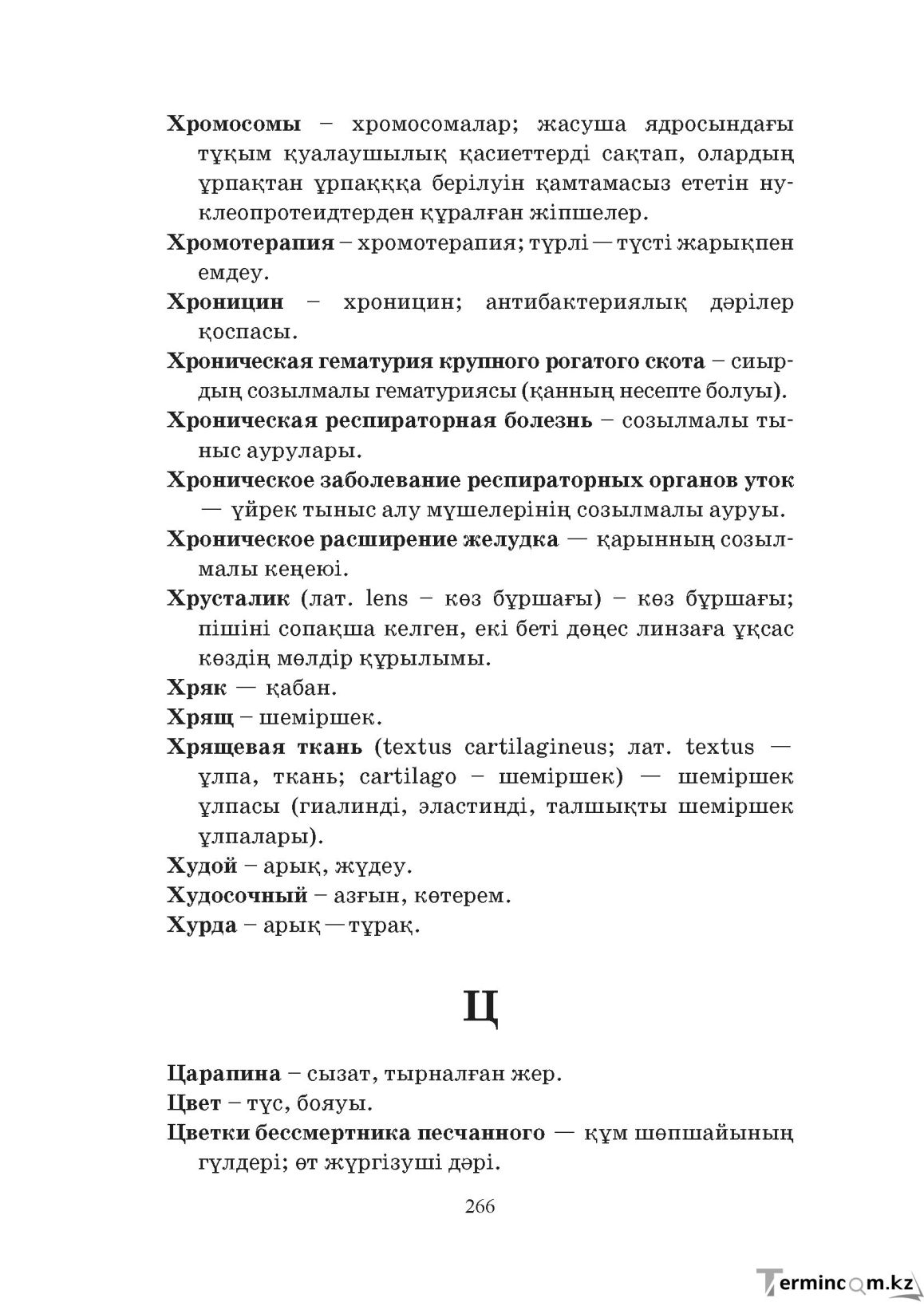Бет 266