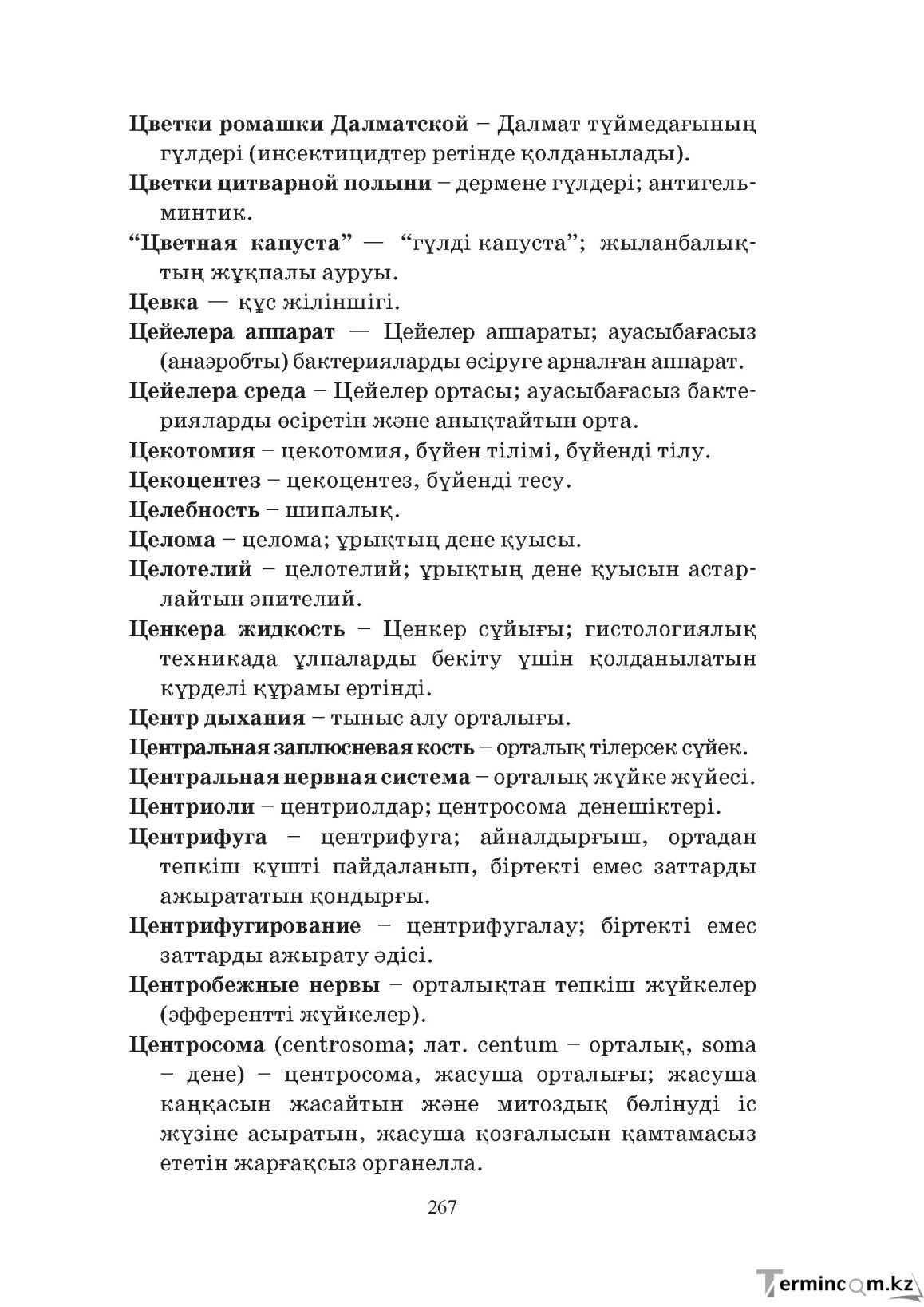 Бет 267