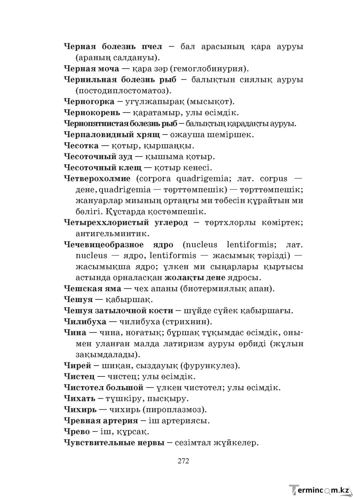 Бет 272
