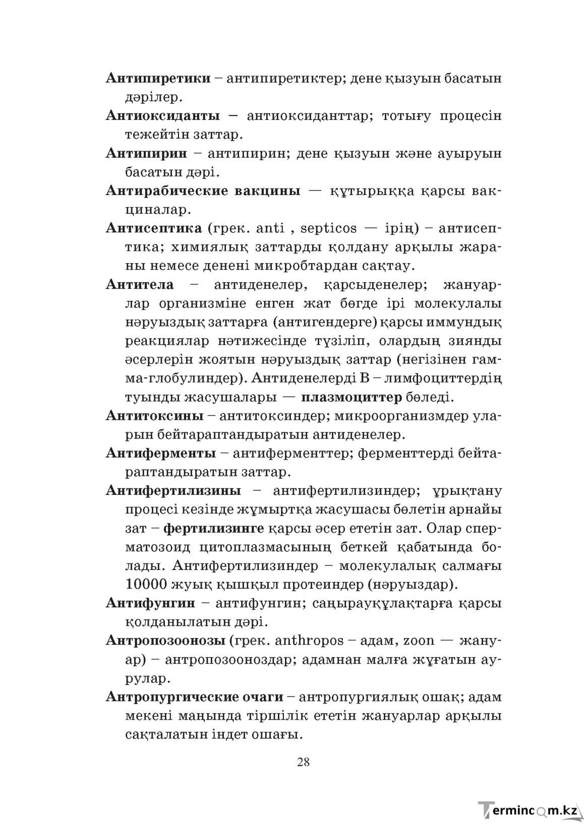 Бет 28