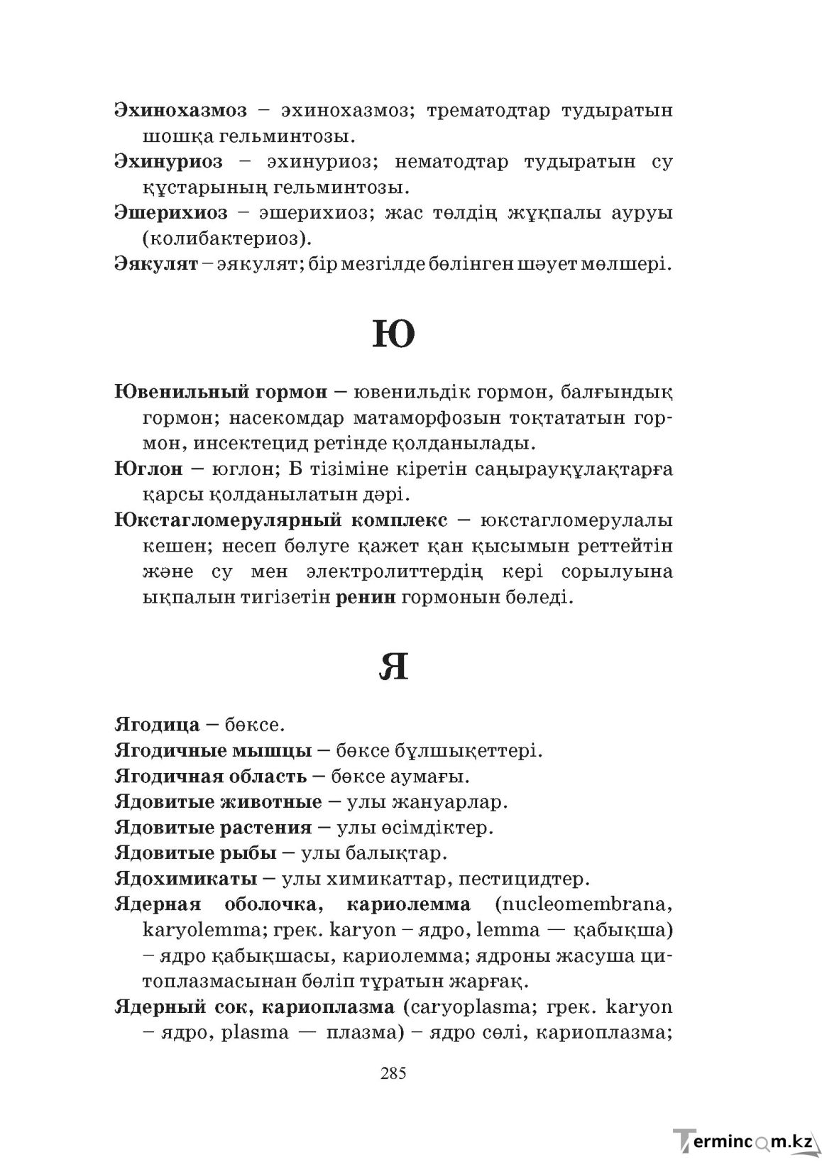 Бет 285