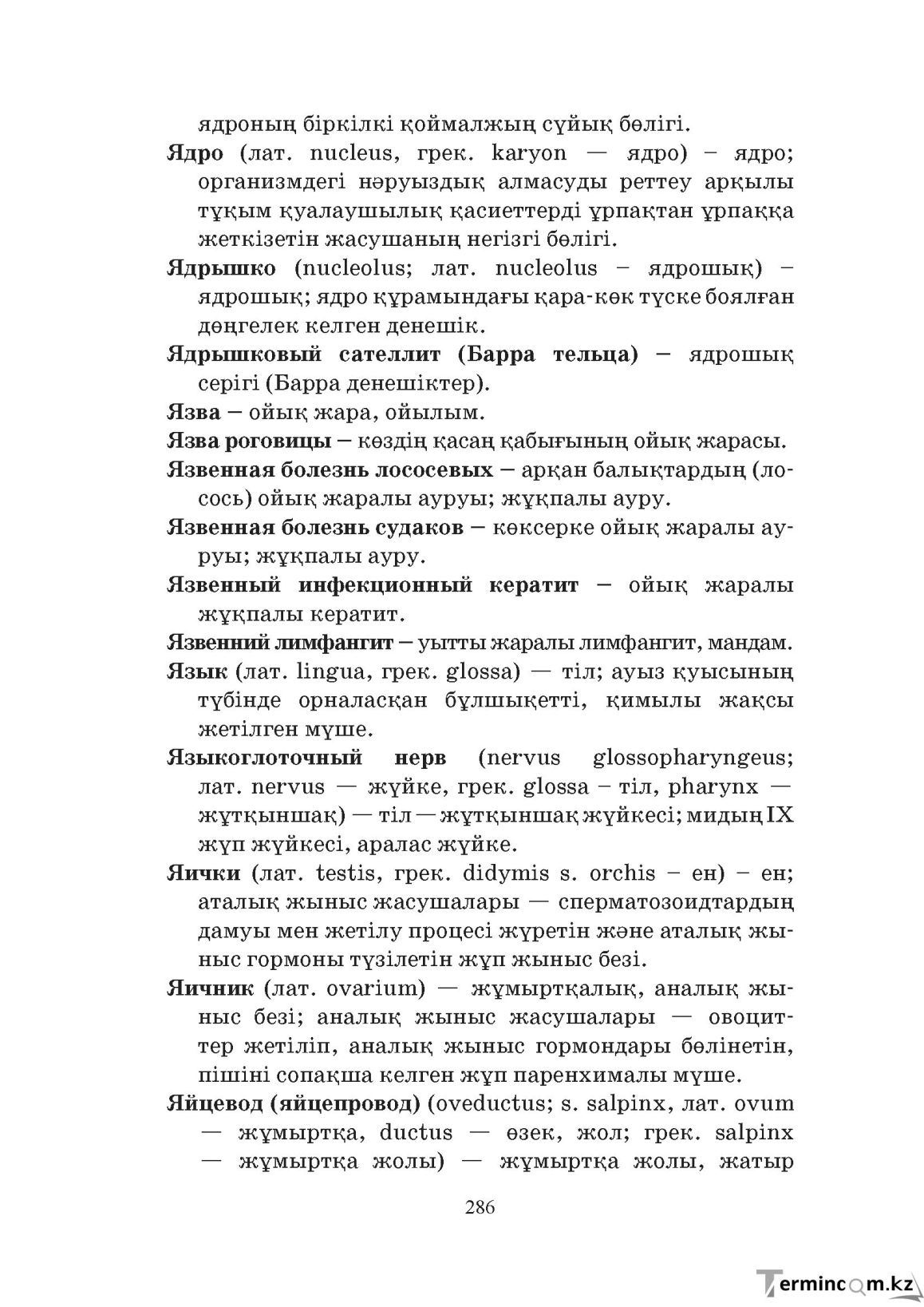 Бет 286