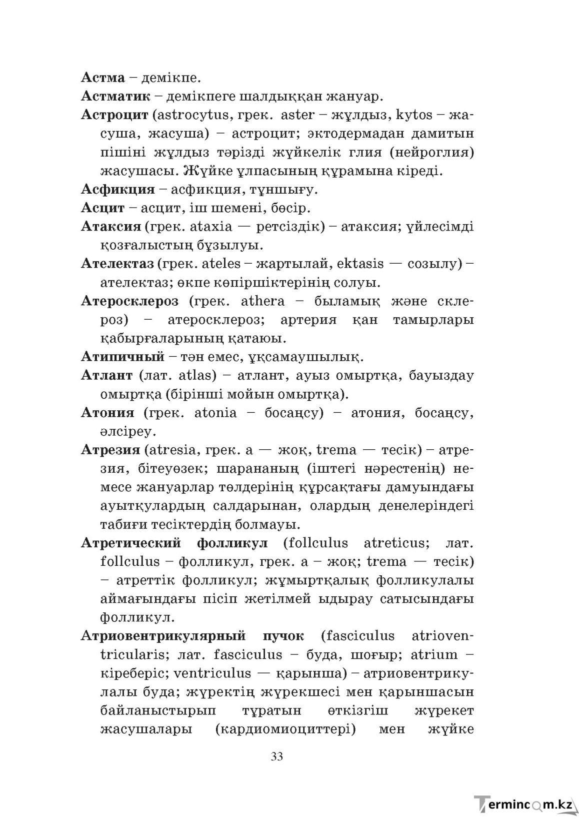 Бет 33