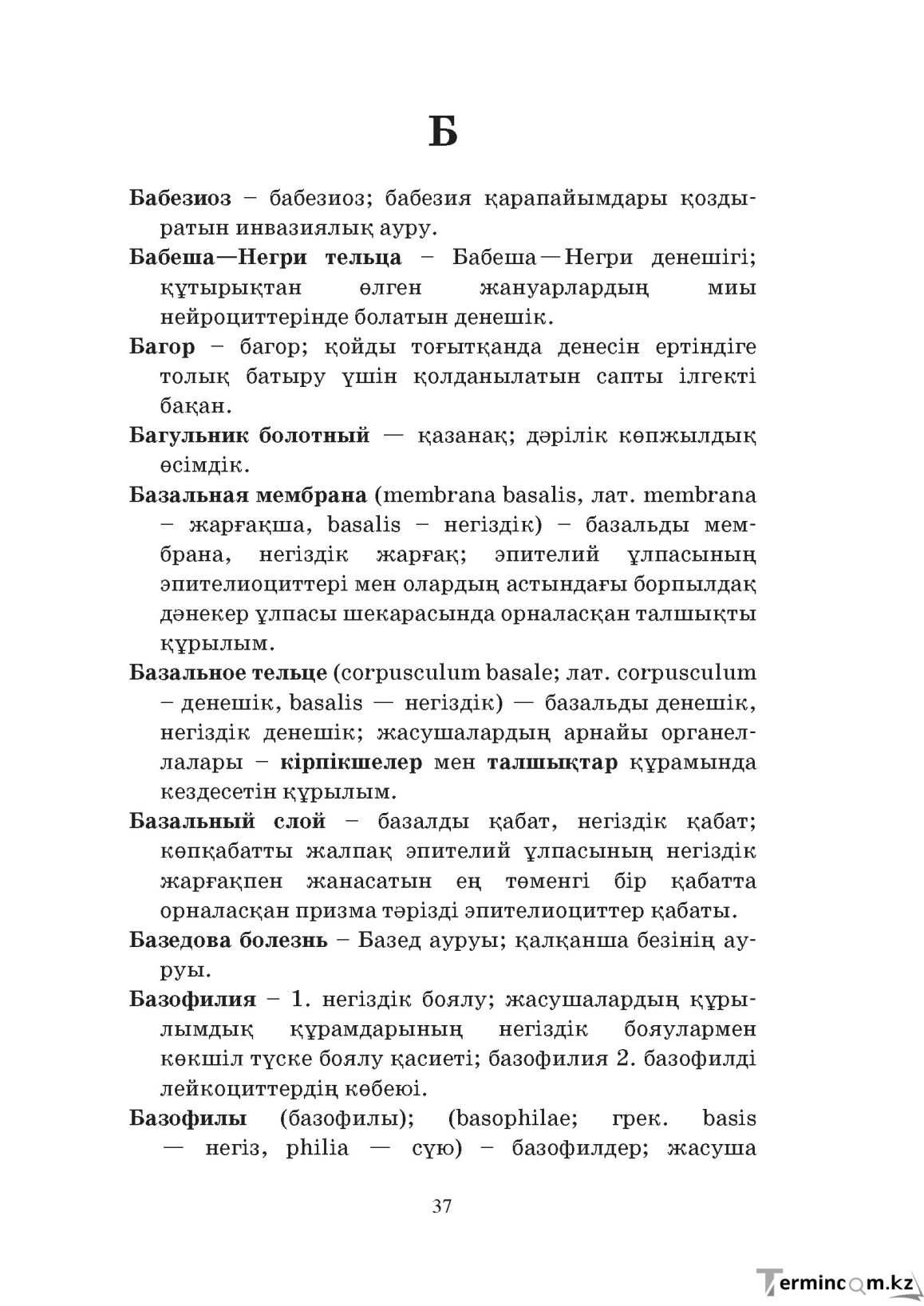 Бет 37