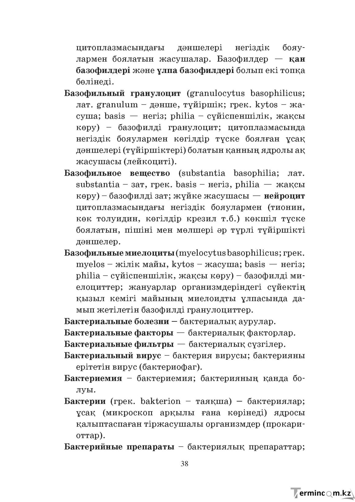 Бет 38