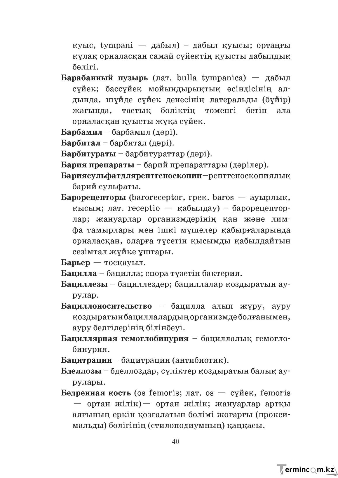 Бет 40