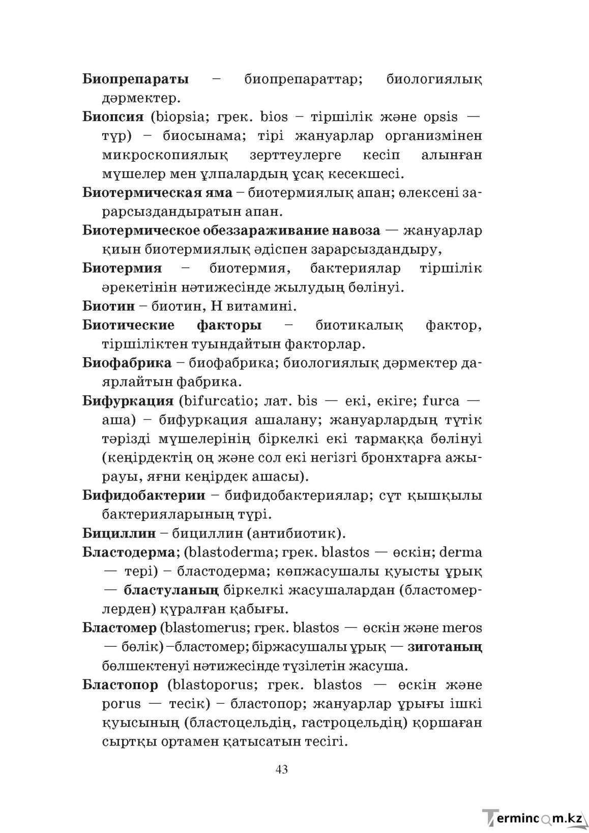 Бет 43