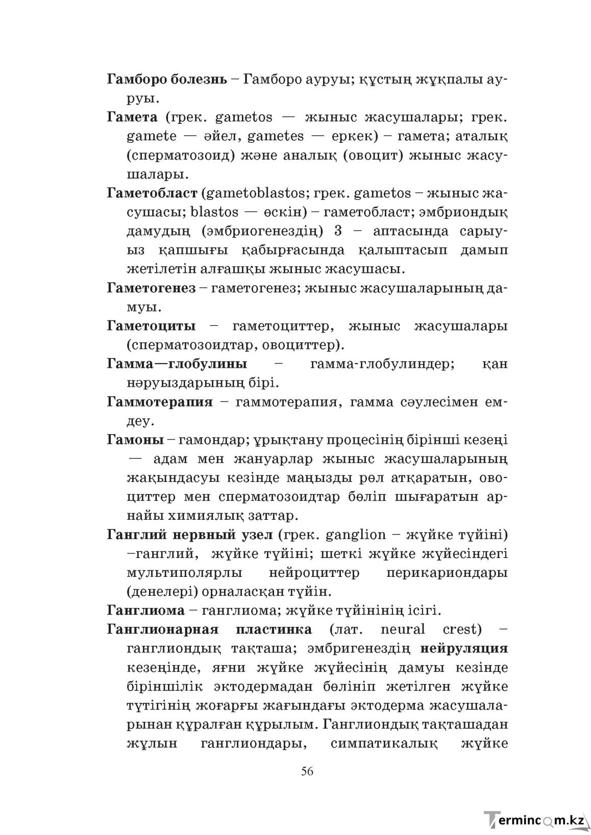 Бет 56
