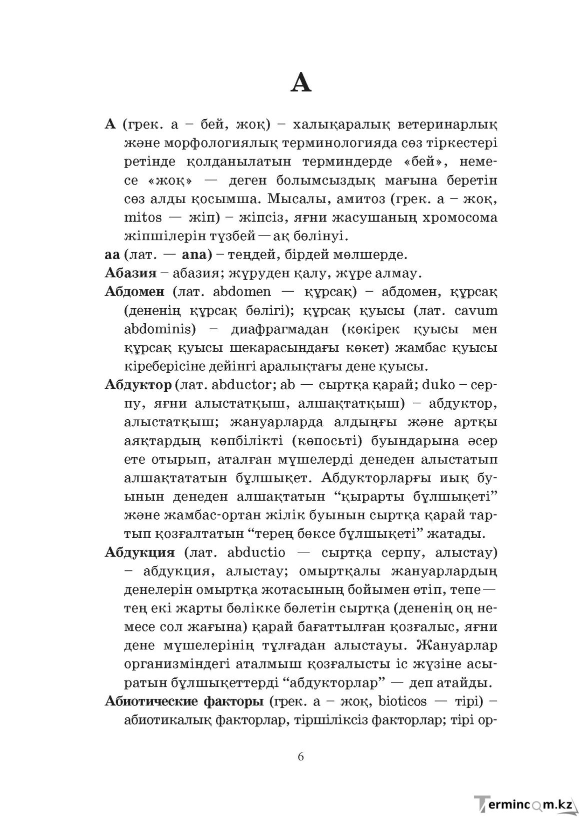 Бет 6