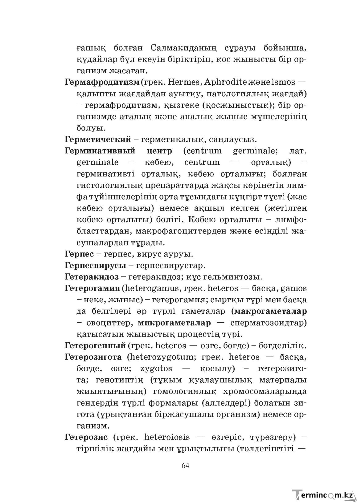 Бет 64