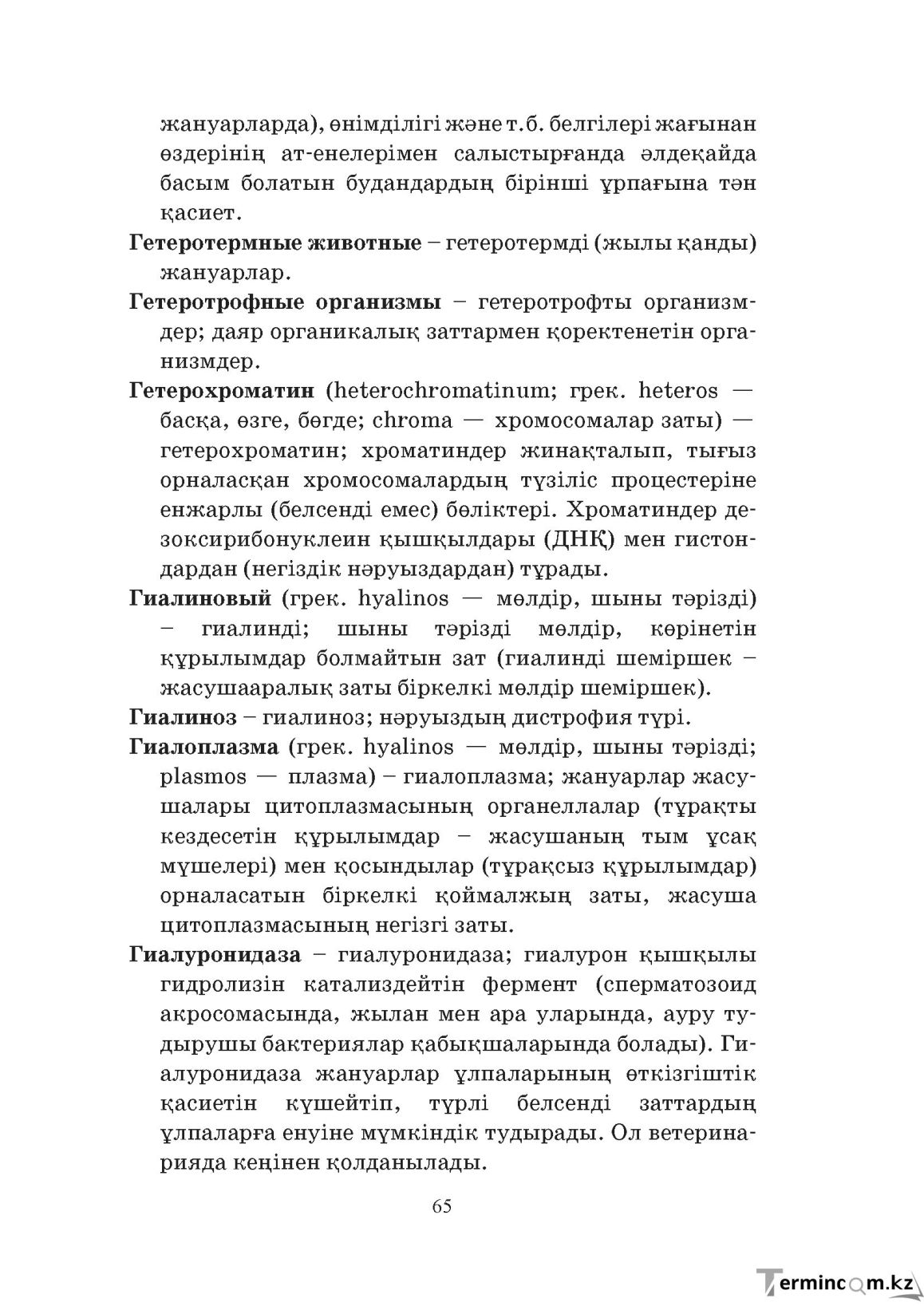 Бет 65