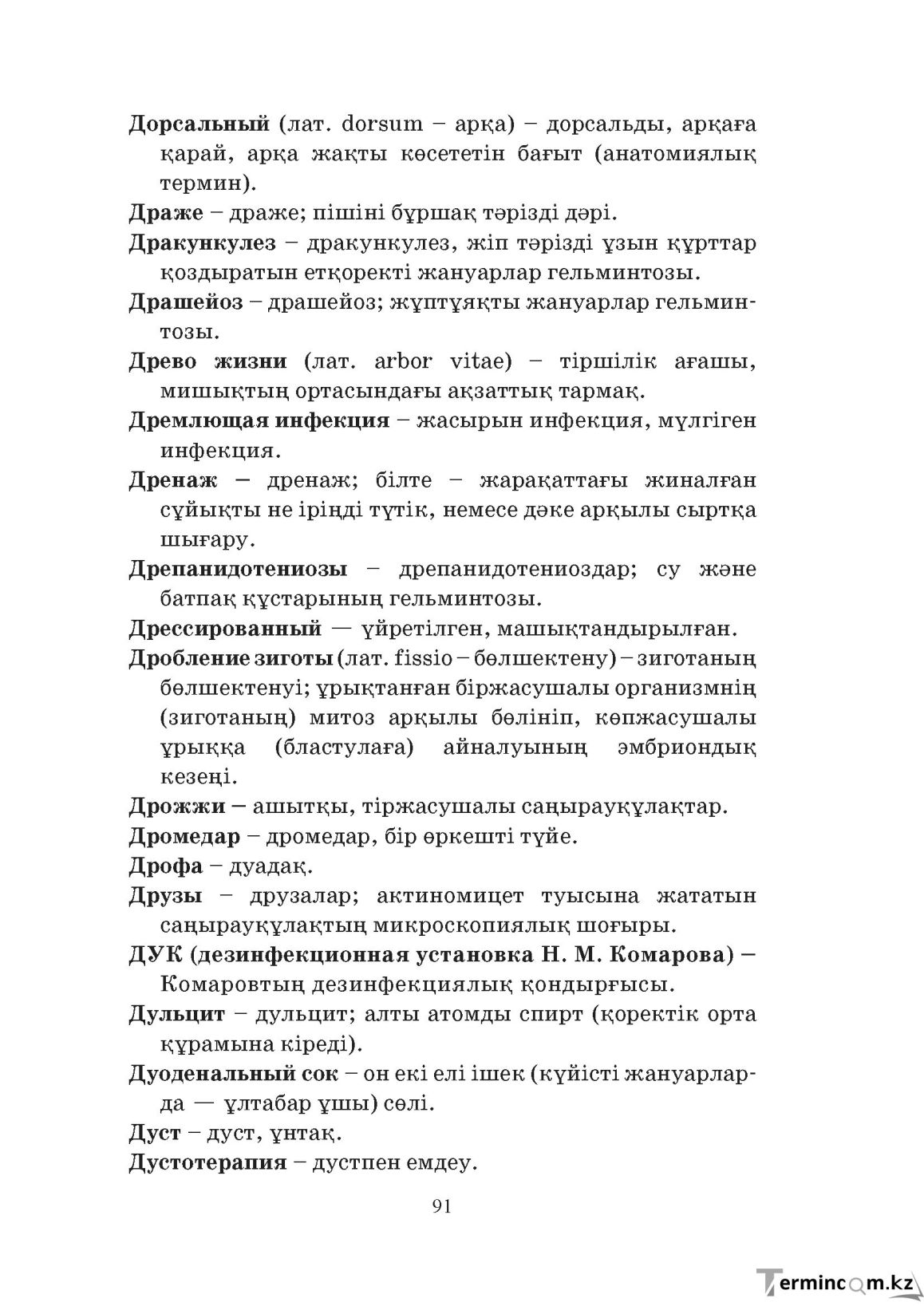 Бет 91