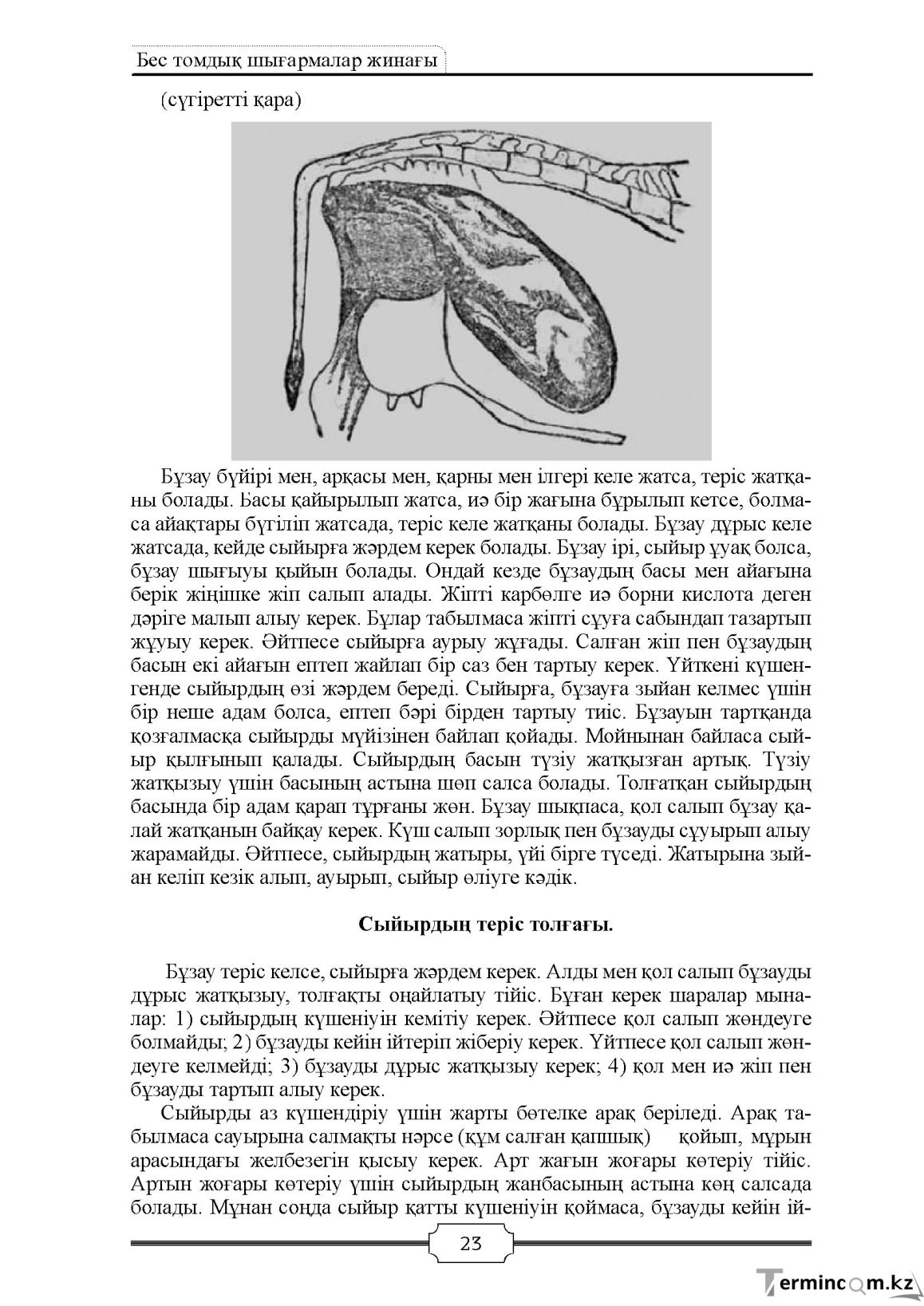 Бет 23