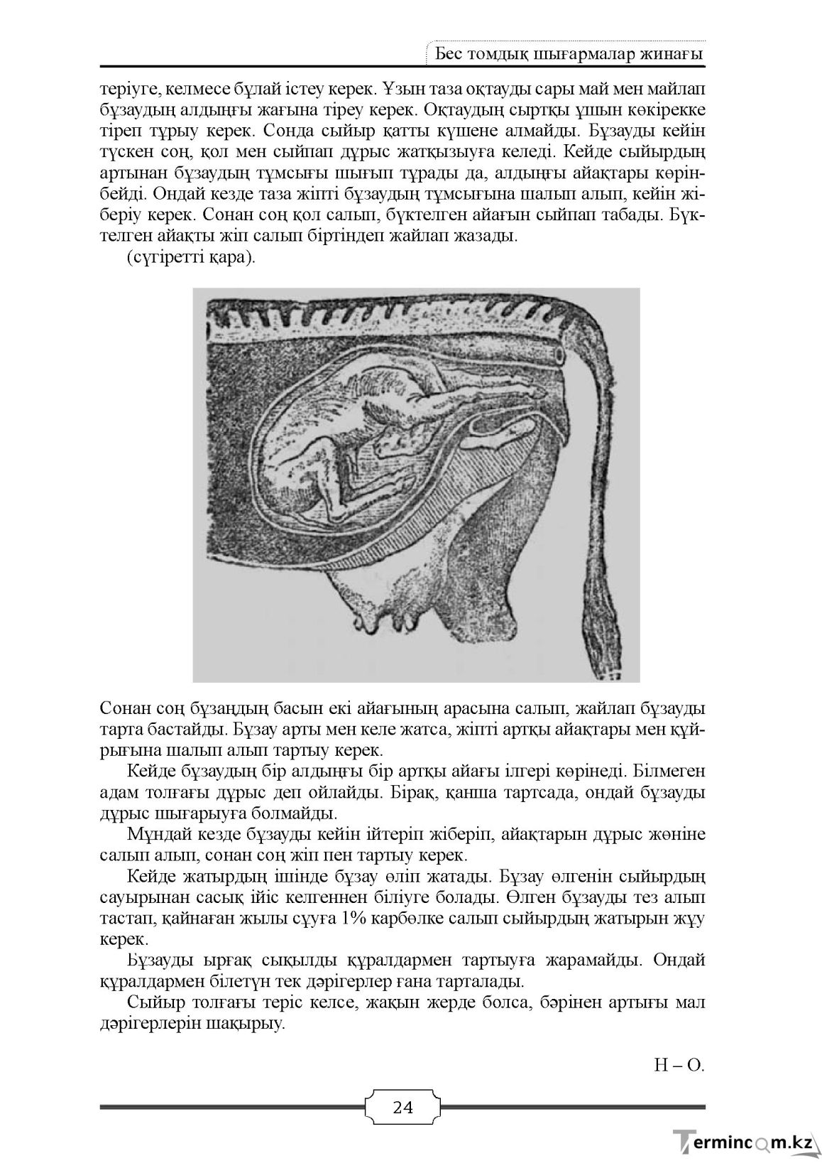 Бет 24
